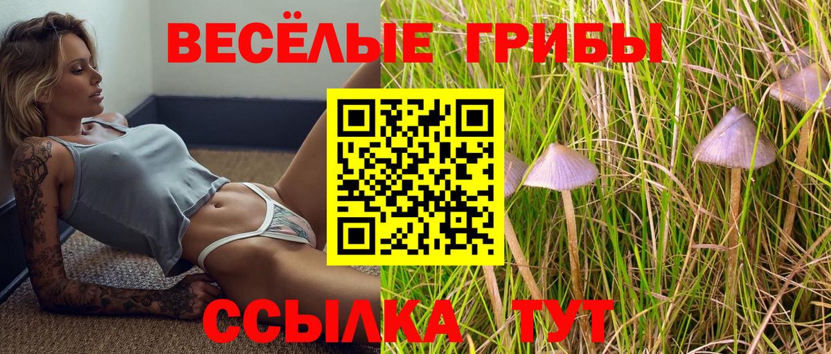 Сафоново  Галлюциногенные грибы мухоморы  Галлюциногенные грибы Psilocybe  Вход с VPN 